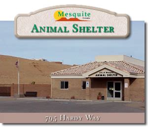 mesquite animal shelter|Animal Services .